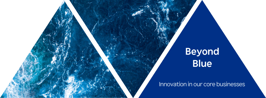 Beyond Blue : Innovation in our core businesses